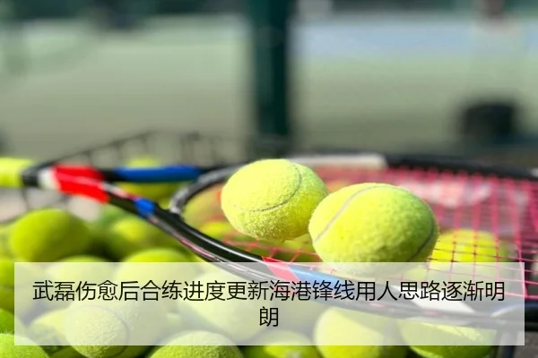 武磊伤愈后合练进度更新海港锋线用人思路逐渐明朗