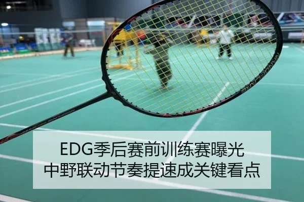 EDG季后赛前训练赛曝光 中野联动节奏提速成关键看点