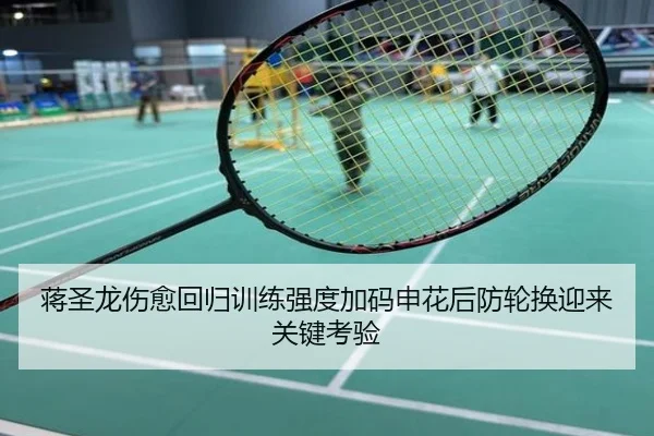 蒋圣龙伤愈回归训练强度加码申花后防轮换迎来关键考验