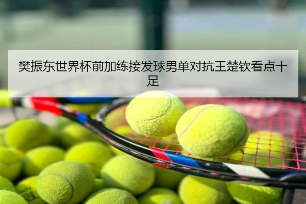 樊振东世界杯前加练接发球男单对抗王楚钦看点十足